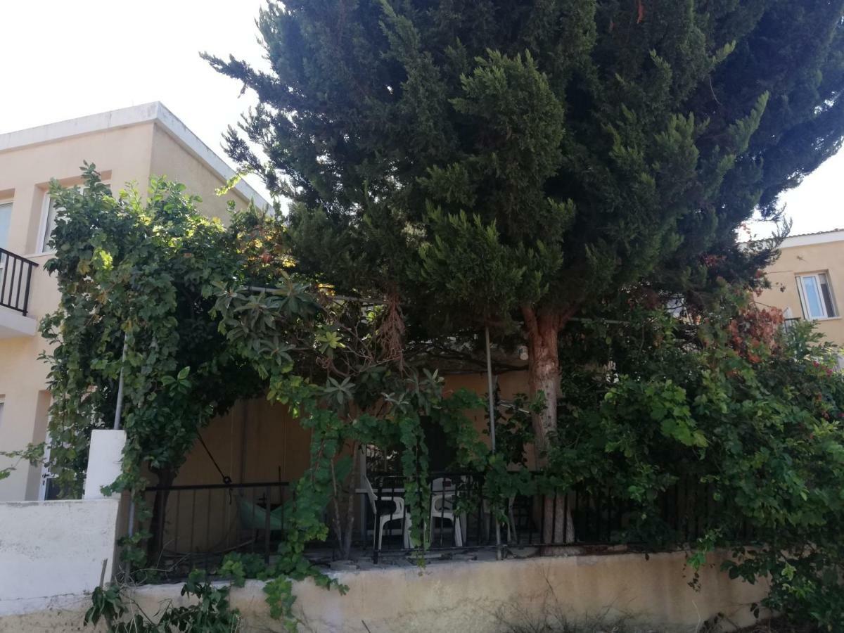 Appartement Chriselina Gottage à Paphos Extérieur photo